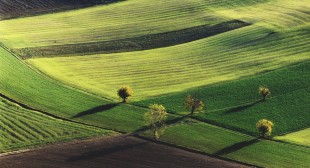 Handgebaren, de taal van de wereld